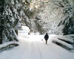 Winter in der Eifel